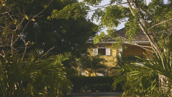 Superior Garden Suites